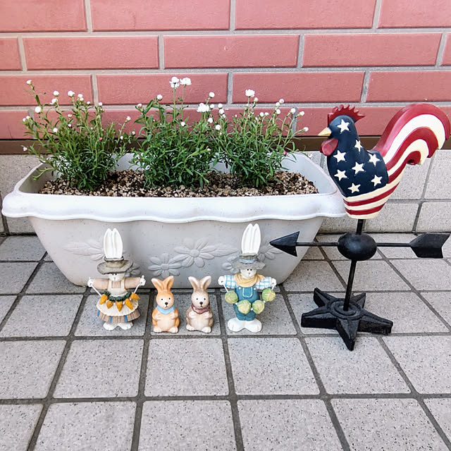 nanaさんの実例写真