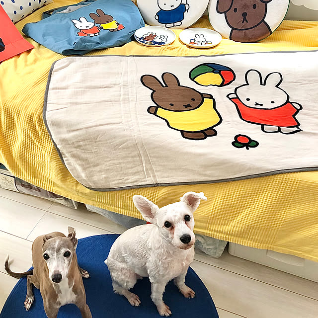 suzyさんの実例写真