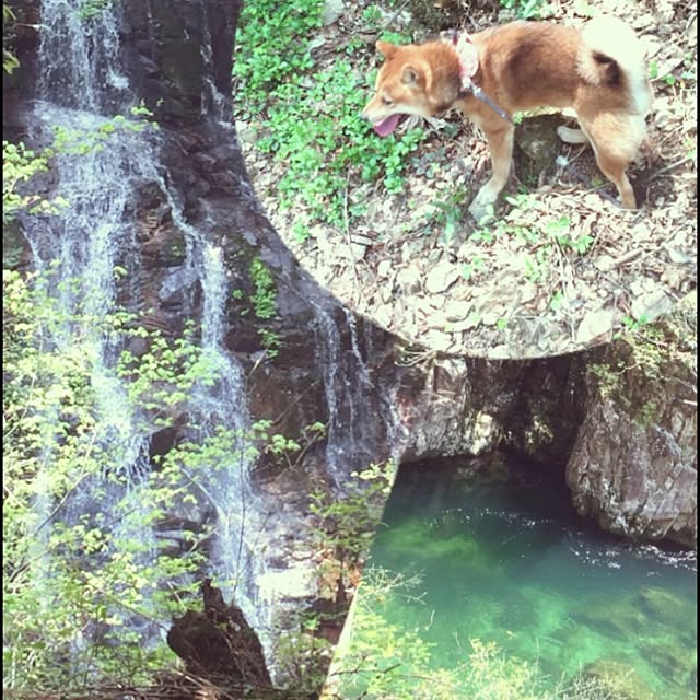 hanakoさんの実例写真