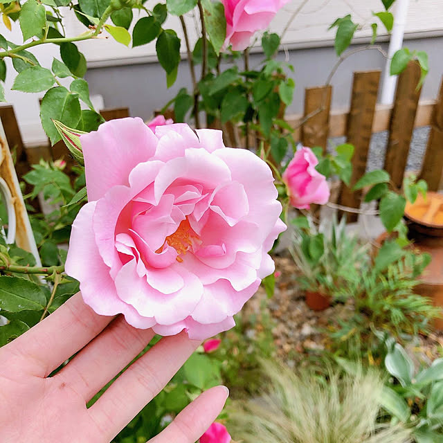 yukiminさんの部屋