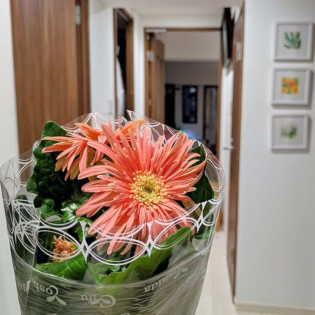 mi-saさんの部屋