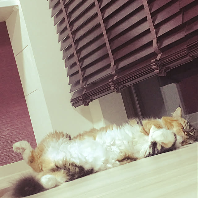 lilyambayさんの実例写真