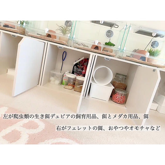 ペット用品収納/団地暮らし/ペットとの暮らし/元和室/DIY...などのインテリア実例 - 2020-06-30 11:58:47