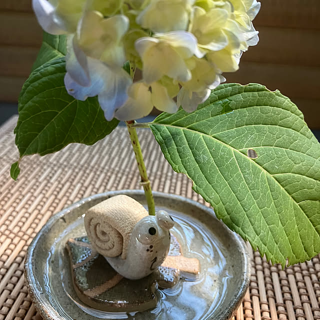 ikubooさんの部屋