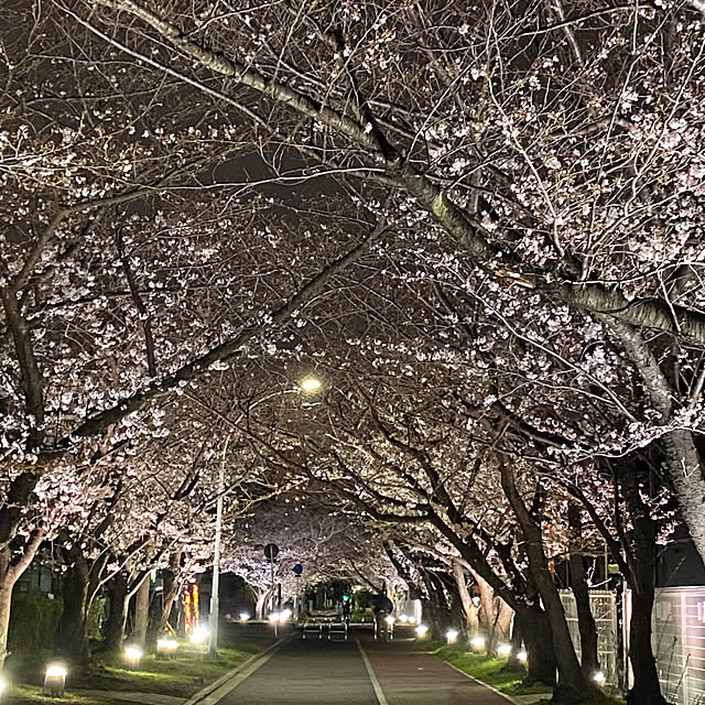 ohanaさんの実例写真