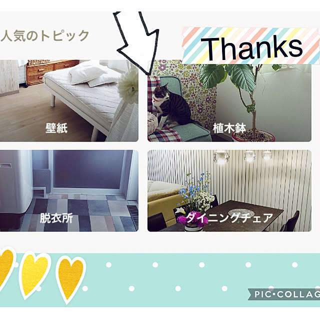 ippu0303Karinさんの実例写真