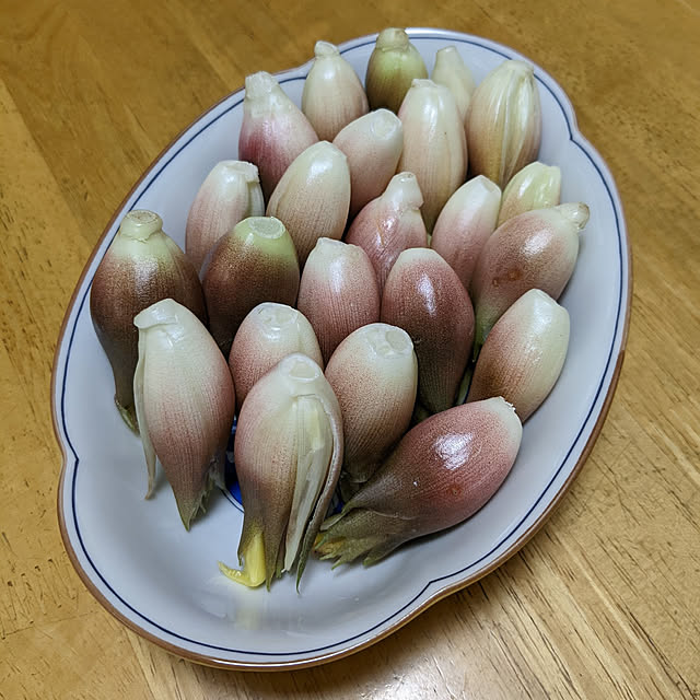 hiroさんの実例写真