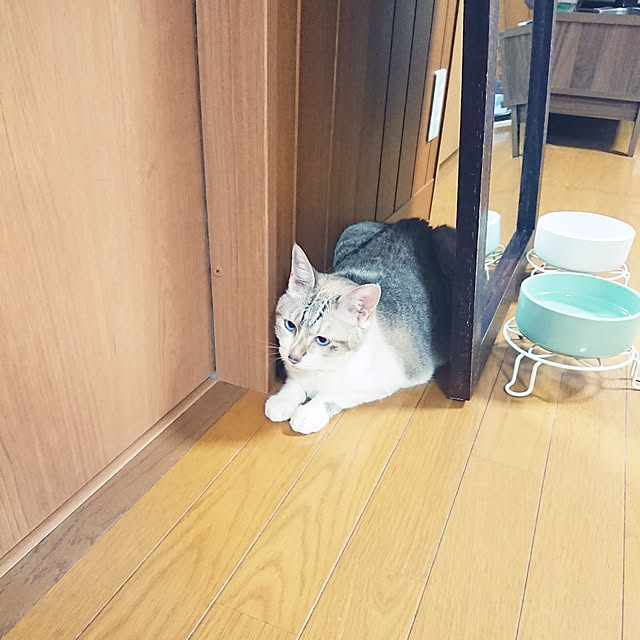 nachiさんの実例写真
