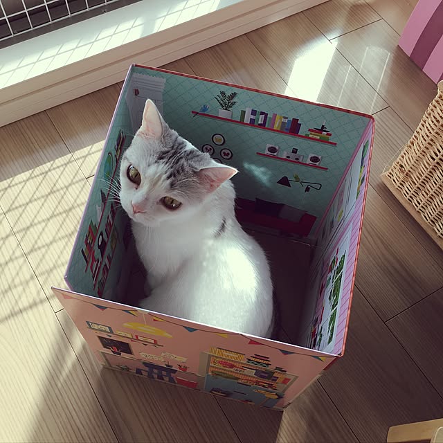 yumiさんの実例写真