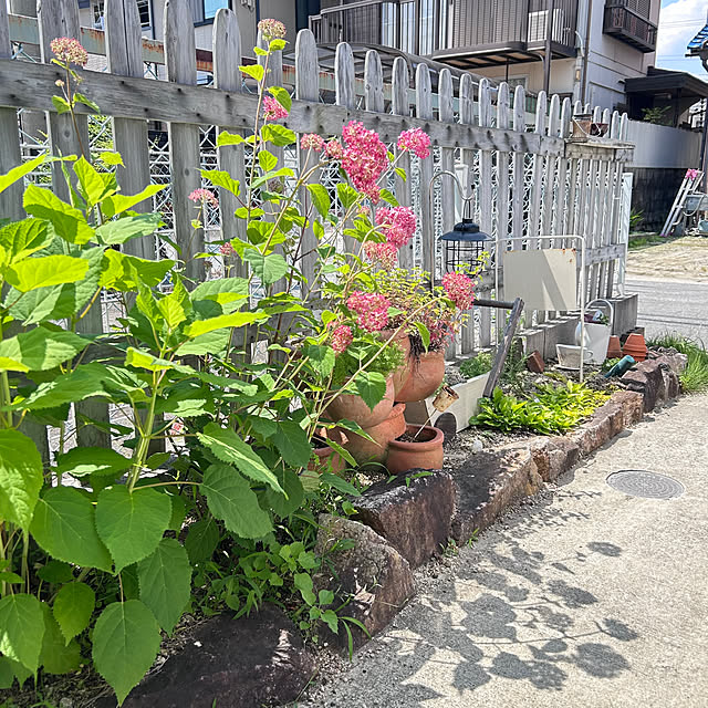 mami3さんの実例写真