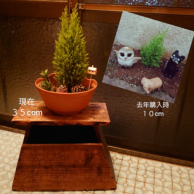 fukuさんの実例写真