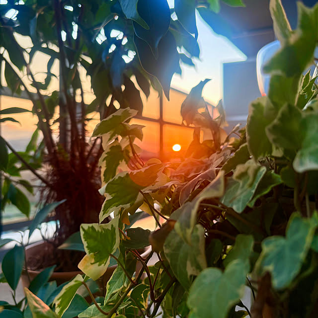 up0524さんの部屋