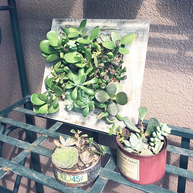 petitlightさんの実例写真