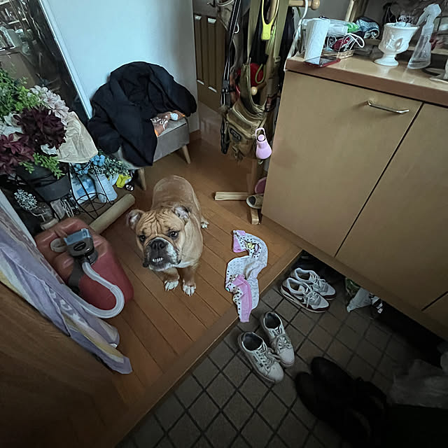 chi_gogaさんの部屋