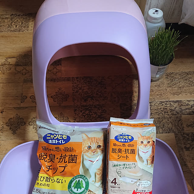 manekinekoさんの実例写真
