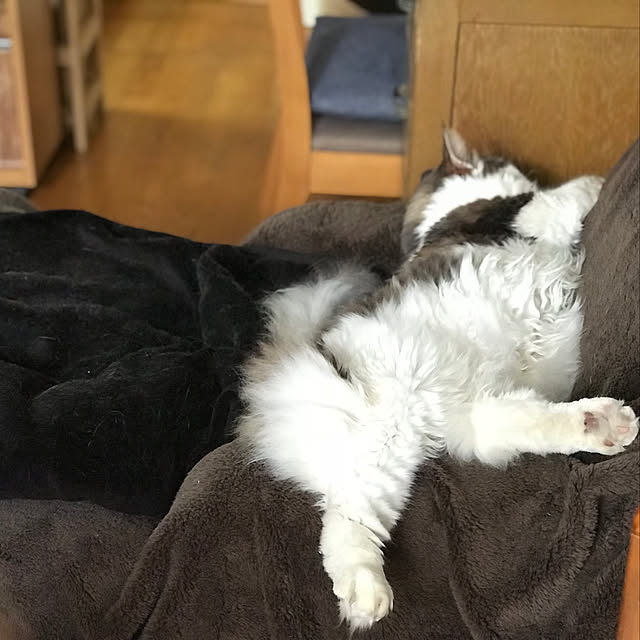 masakoさんの実例写真