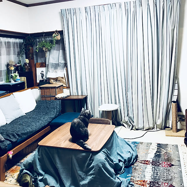 Marinさんの実例写真