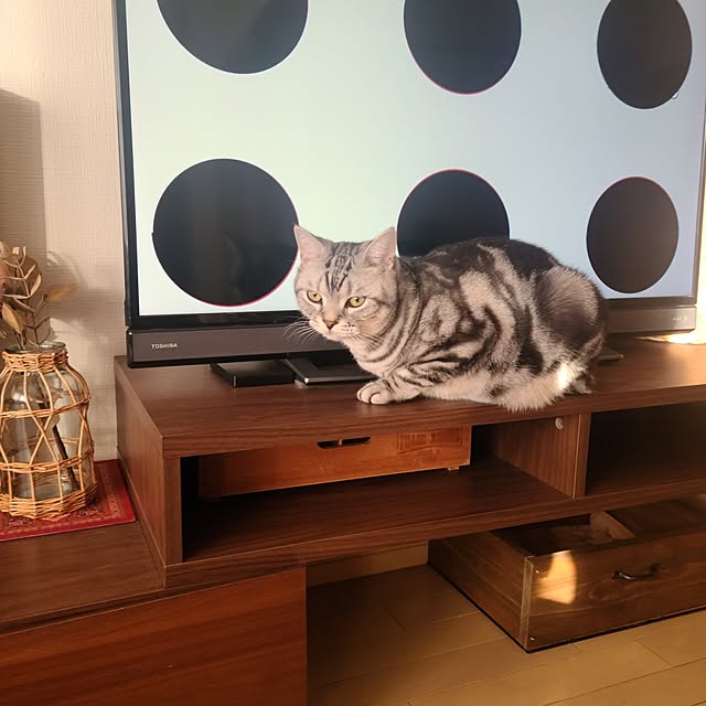 lovepeaceさんの部屋