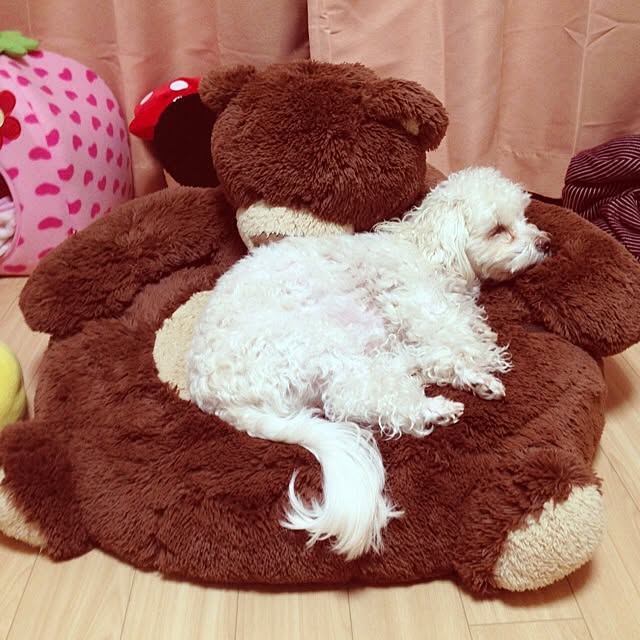 marichunxxさんの実例写真