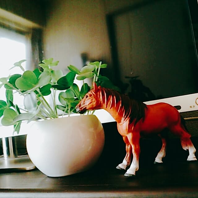 kyooonさんの実例写真