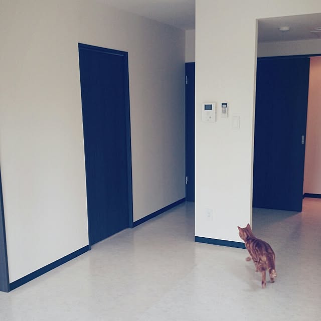 kyaoさんの実例写真