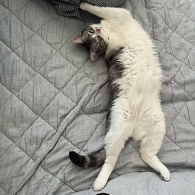 Atelier.mさんの実例写真