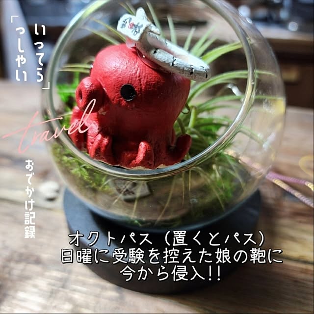 CYNOSさんの実例写真