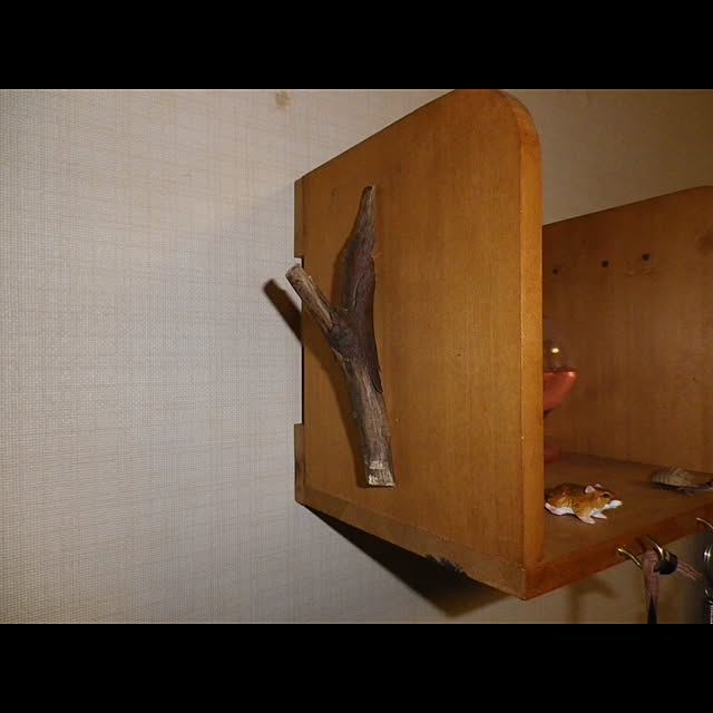 Rehiroさんの実例写真