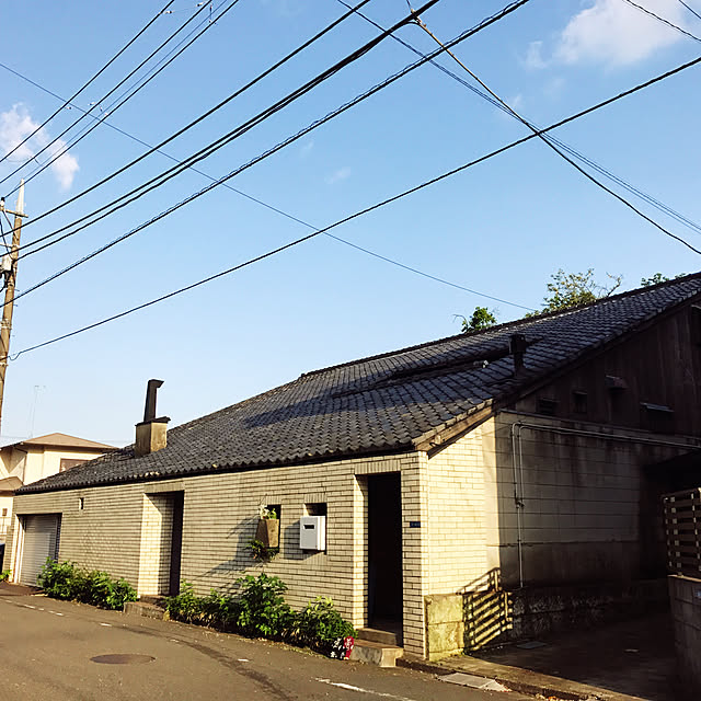neko-2.2.2runmuさんの実例写真