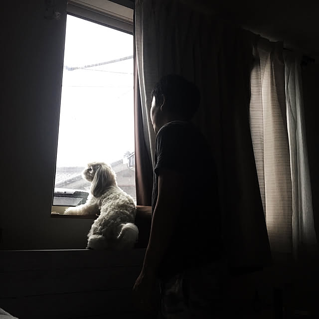 JASMINEさんの実例写真
