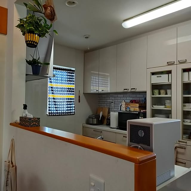 reguさんの部屋
