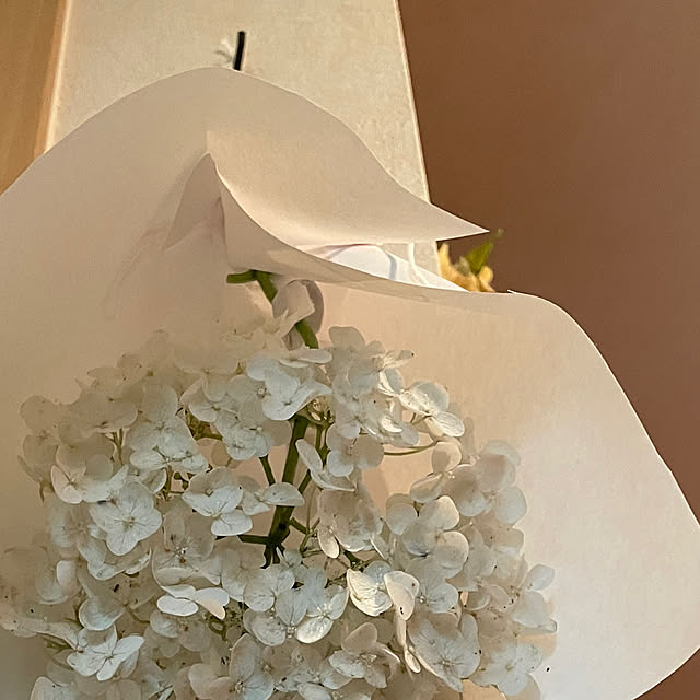 kuikoさんの部屋