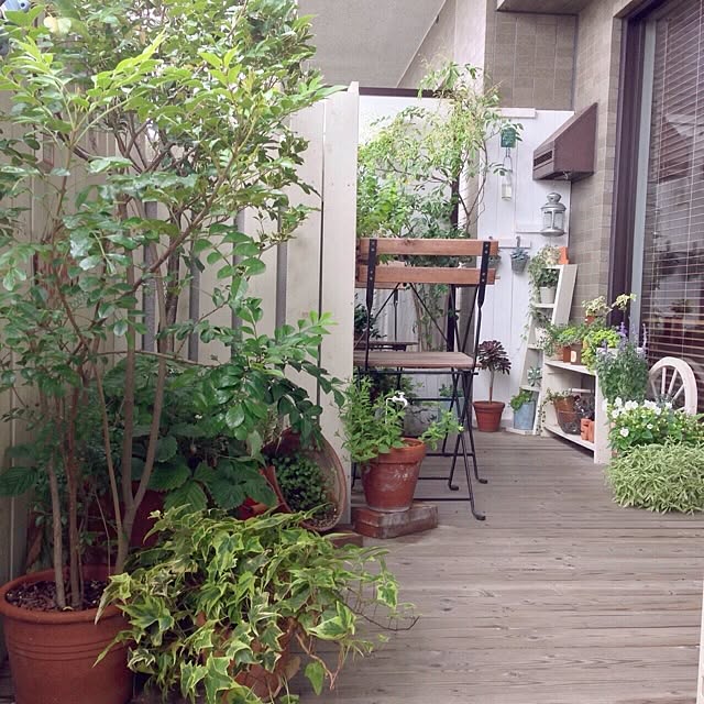 leonaさんの実例写真