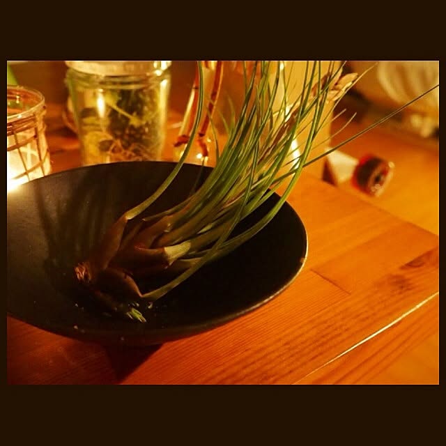 Youhei_kさんの実例写真