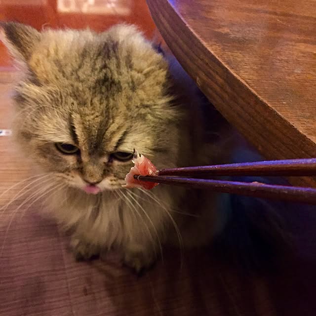 butachanさんの実例写真