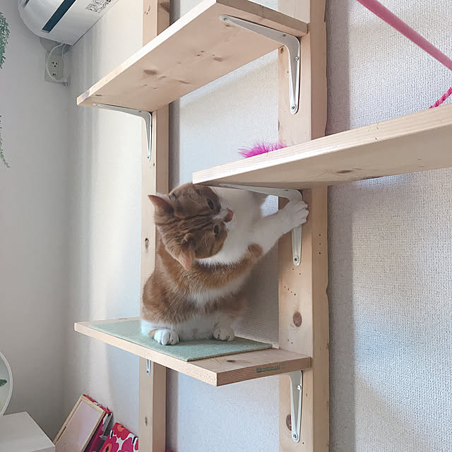 maruさんの実例写真