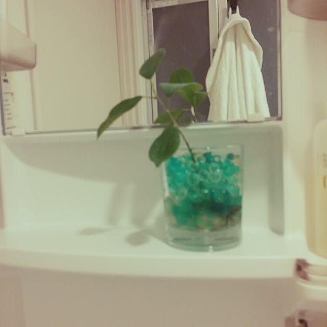 springさんの実例写真