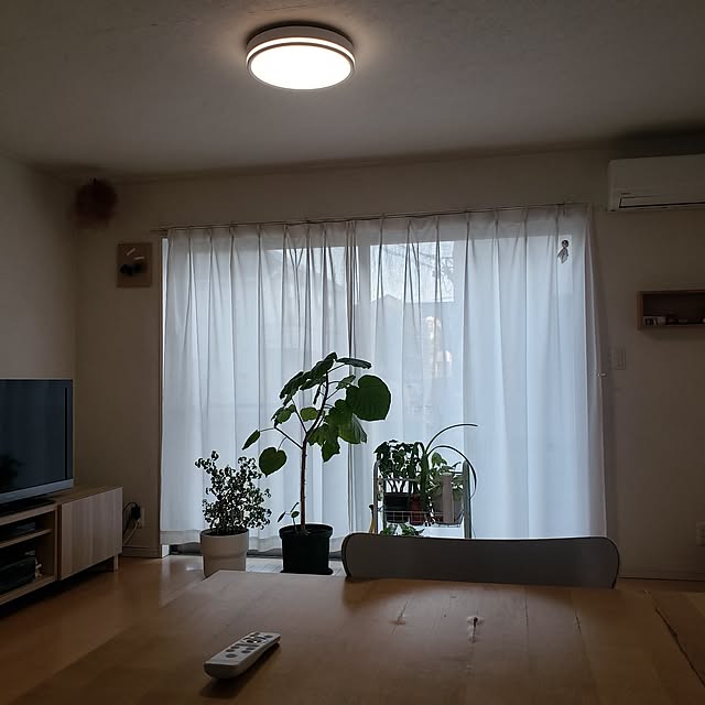 wanidaさんの実例写真