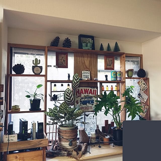 nanaさんの実例写真