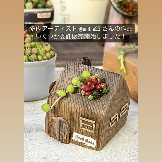 amtさんの実例写真