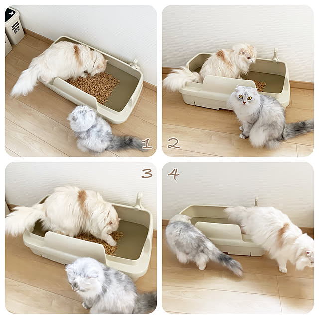 luna.comさんの実例写真