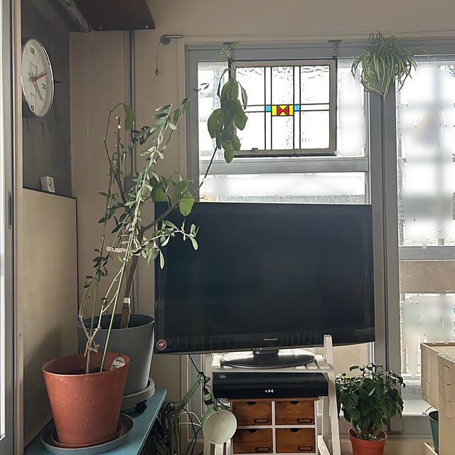 miri_bukkoさんの実例写真