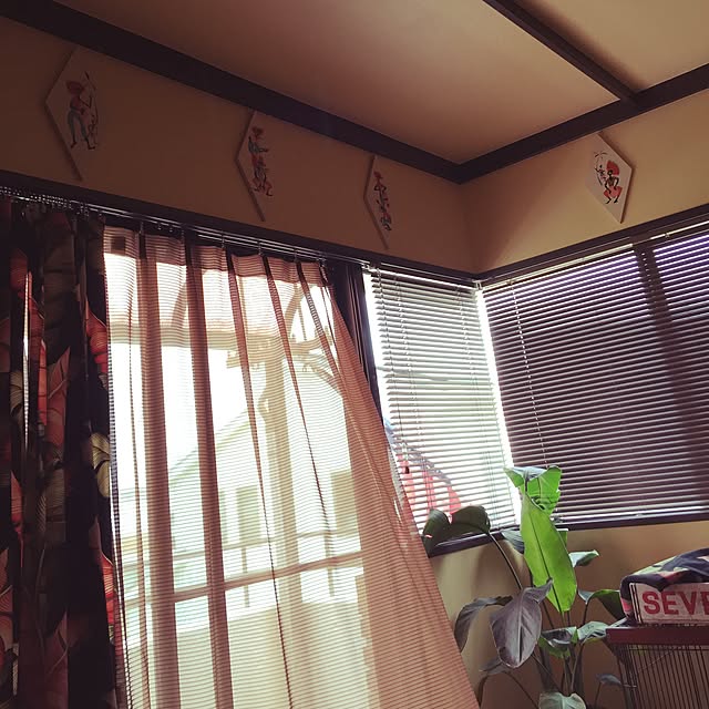Annaさんの実例写真