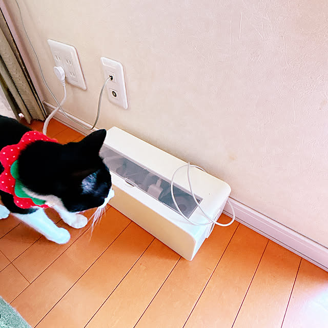 moolさんの実例写真