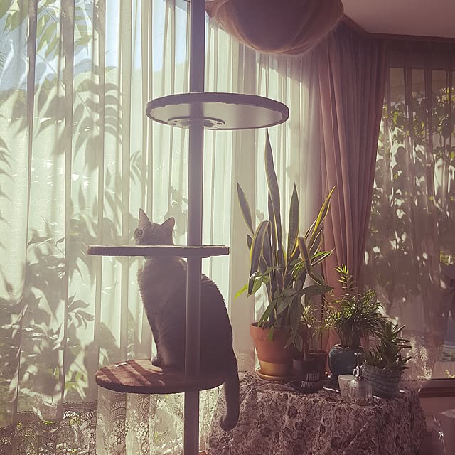 neoさんの実例写真