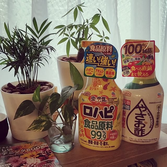 kana_ciiさんの実例写真