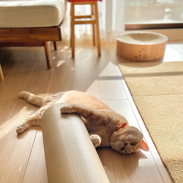 tomoさんの実例写真