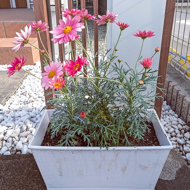 tomoさんの部屋