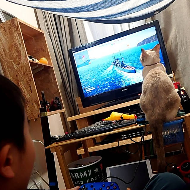 kiyohima229さんの実例写真