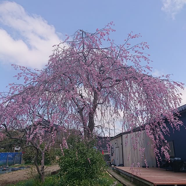 artfieldさんの実例写真